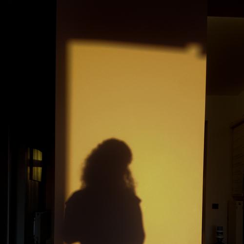 Photo #5487626