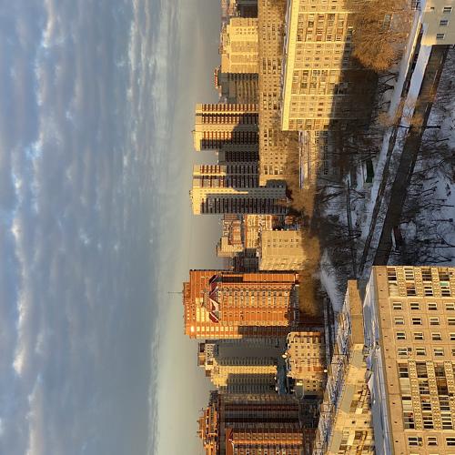 Photo #5487631