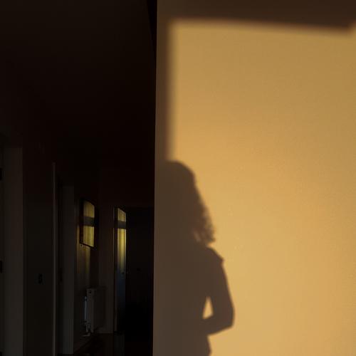 Photo #5487645