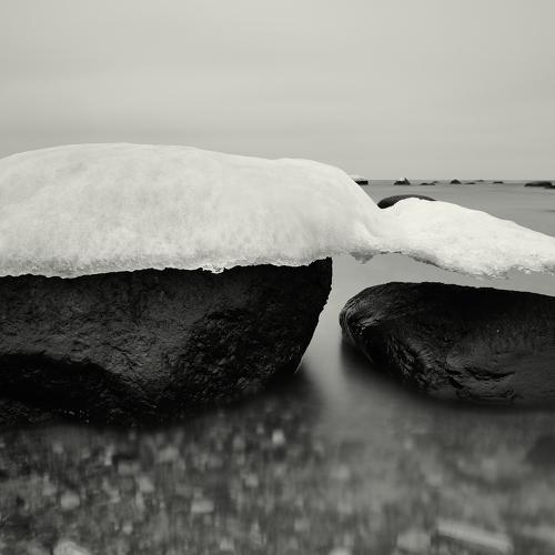 Photo #5488414