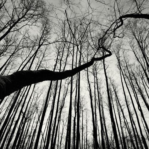 Photo #5488571