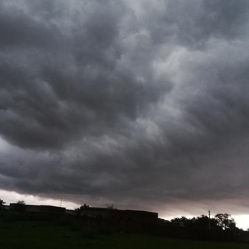 Photo #5489249