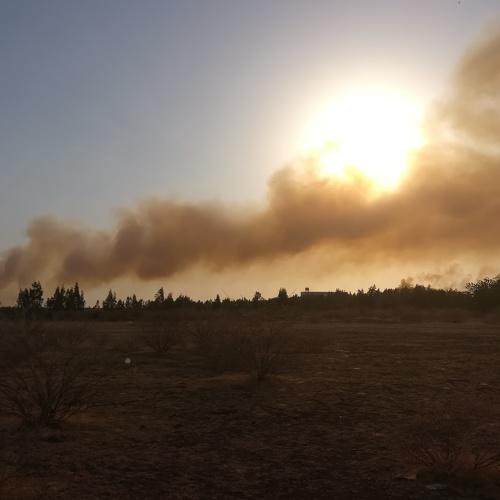 Photo #5489261