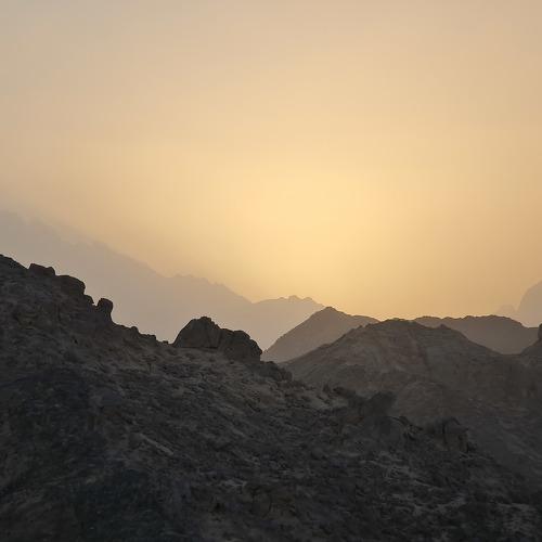 Photo #5489276