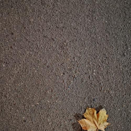 Photo #5489348
