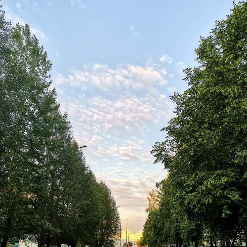 Photo #5489361