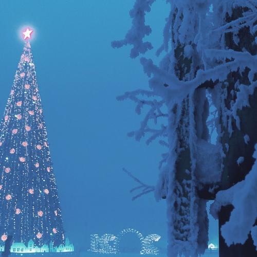 Photo #5489494