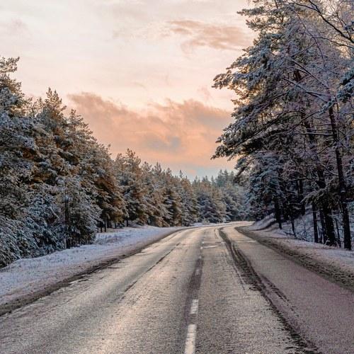 Winter morning road