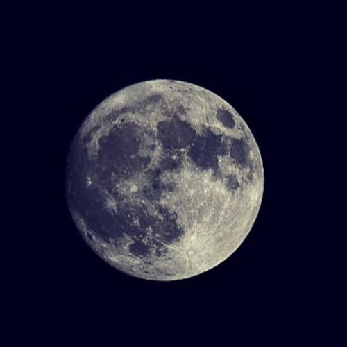 Photo #5489756