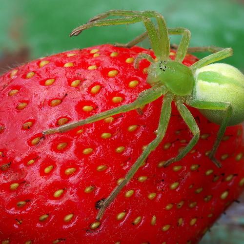 Photo #5489950