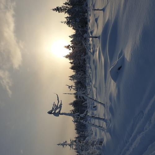Photo #5489961