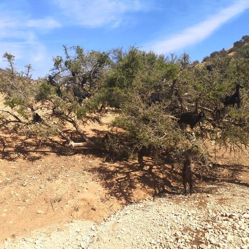 Photo #5490403