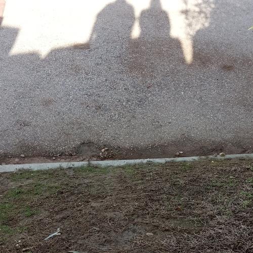 Photo #5490469