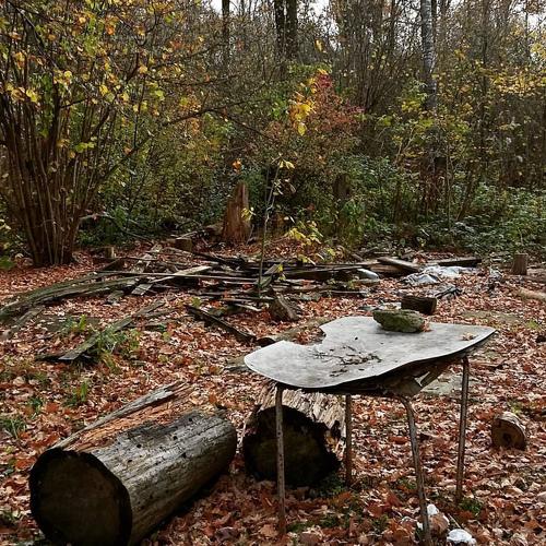 autumn - осень