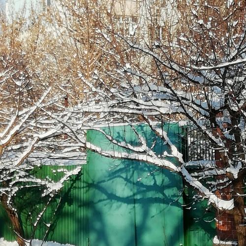Снежное кружево