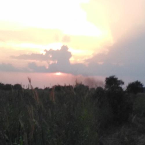 Photo #5490511