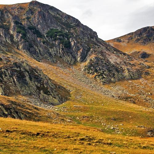 Mountain Landscape