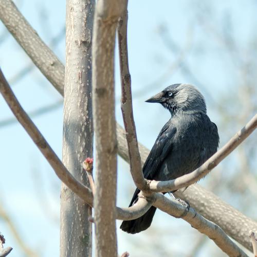 Photo #5490729