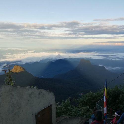 Photo #5490754