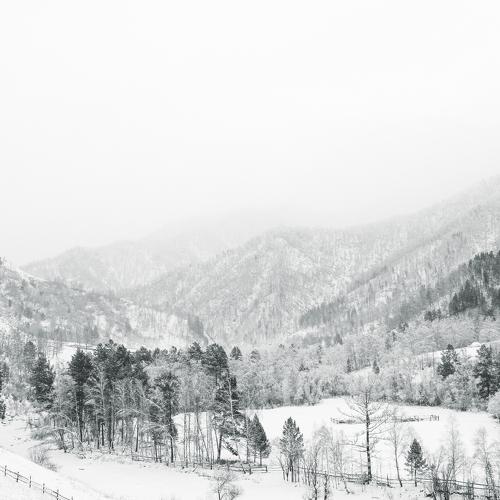 Фотография #5490755