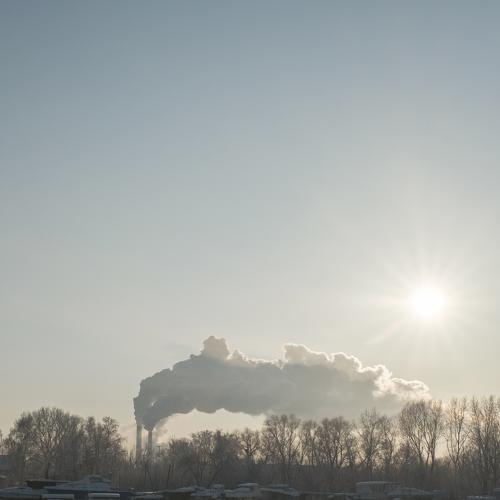 Photo #5490933