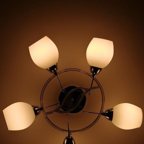 Photo #5491344