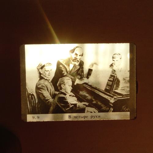 Photo #5491404