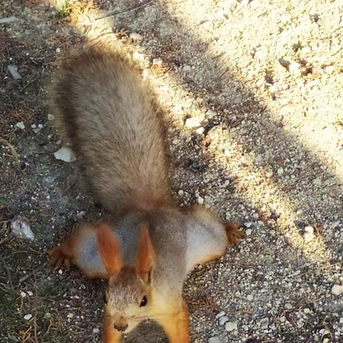Photo #5492408
