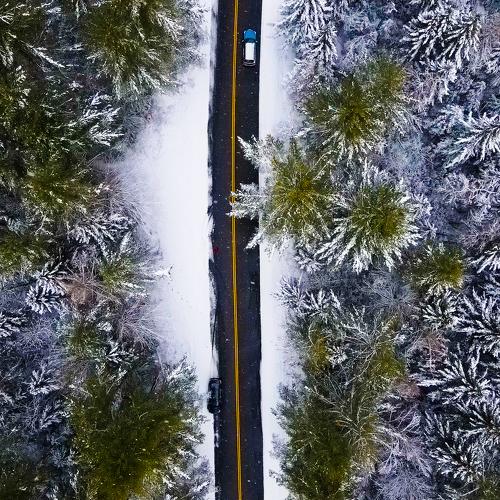 Winter Wonderland