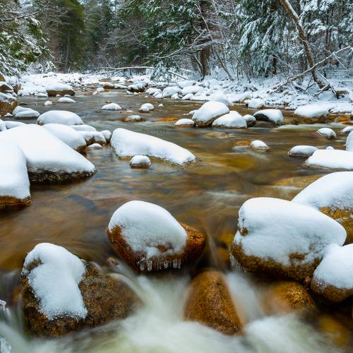 Cold Flow