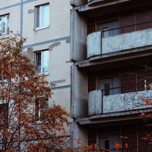 Photo #5493092