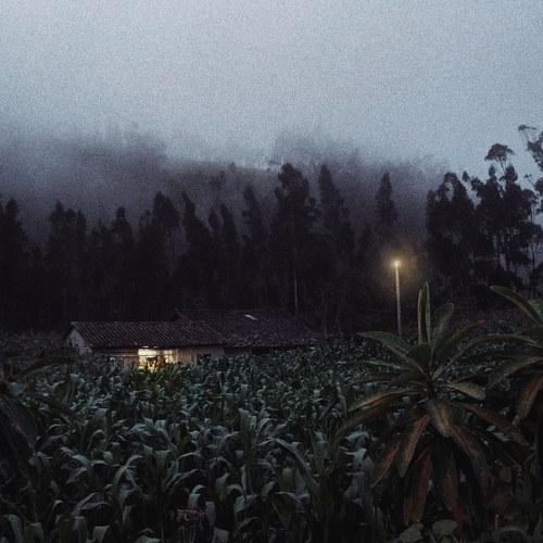 Photo #5493145