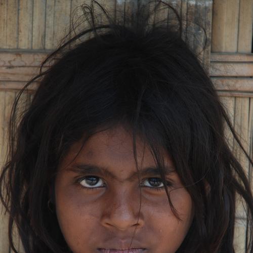 Photo #5493434
