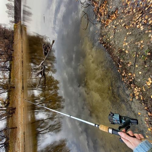 Photo #5494024