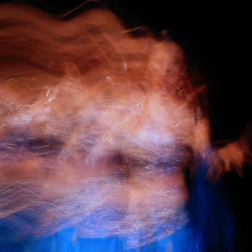 Photo #5494041