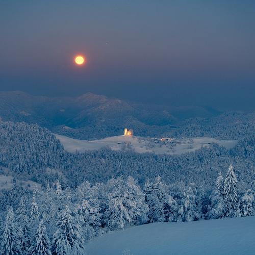 Photo #5494306