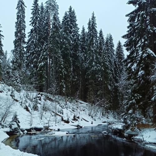 Photo #5494344