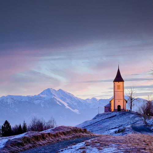 Photo #5494345