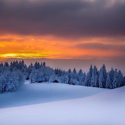 Photo #5494357