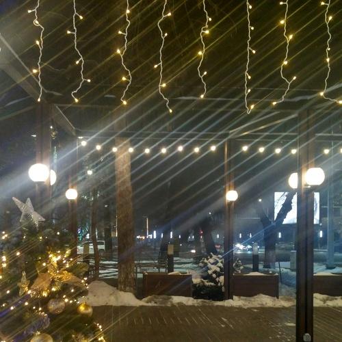 Photo #5494431