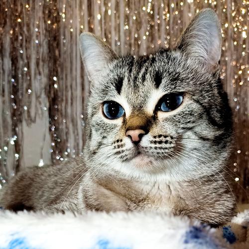 Photo #5495055