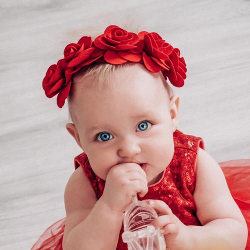 Photo #5495261
