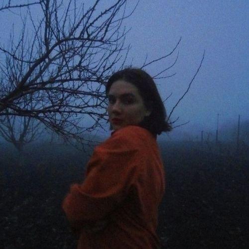 Photo #5495273