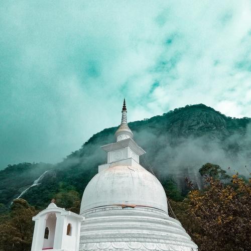 Photo #5495291