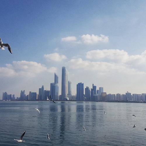 Photo #5495314
