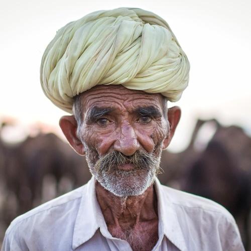 A camel seller from pushkar