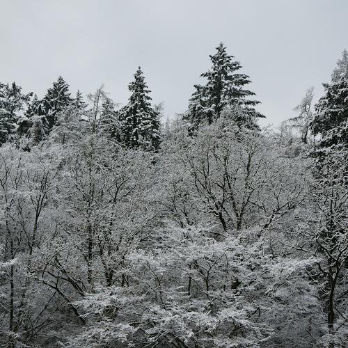 Photo #5495842