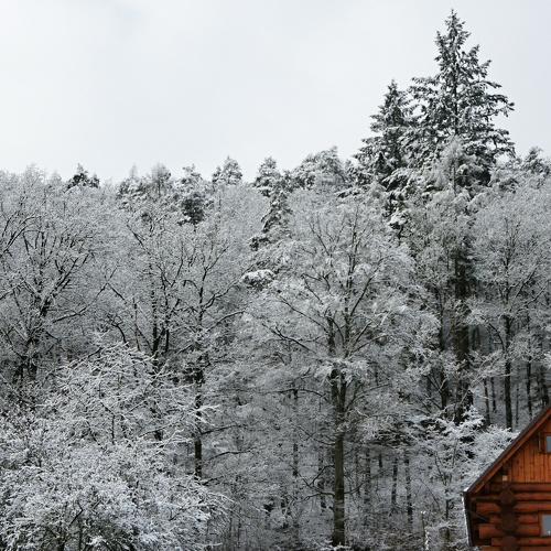 Photo #5495862