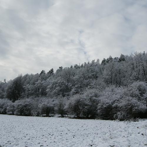 Photo #5495878