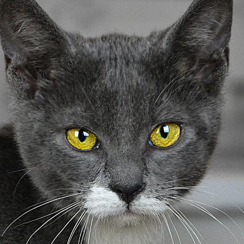 Photo #5497176
